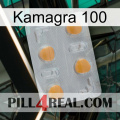 Kamagra 100 24